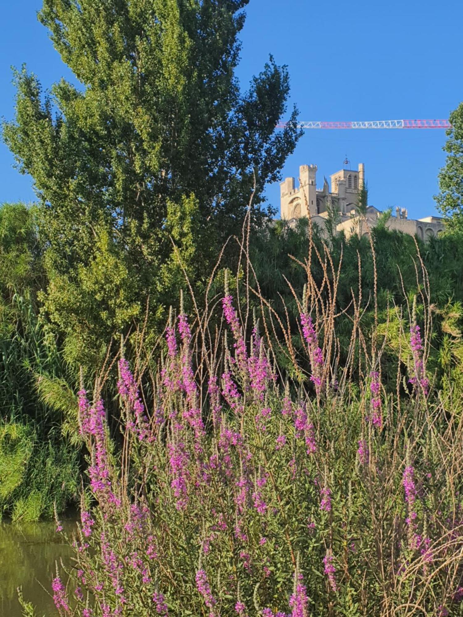 Art Lovers Apart Third Floor Béziers Exterior foto